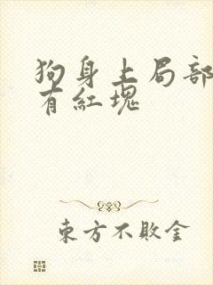 狗身上局部脱毛有红块