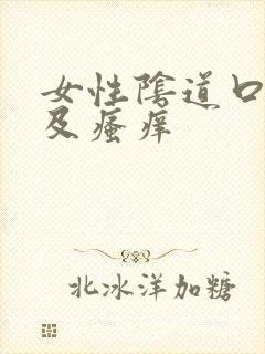 女性阴道口红肿及瘙痒