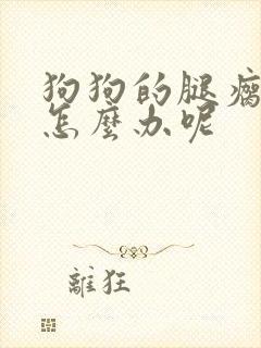 狗狗的腿瘸了该怎么办呢