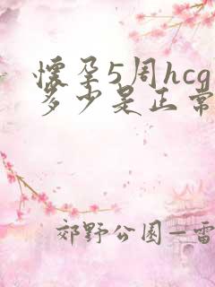 怀孕5周hcg多少是正常值是多少