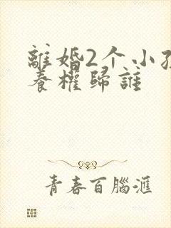 离婚2个小孩抚养权归谁