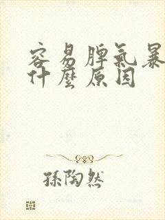 容易脾气暴躁是什么原因