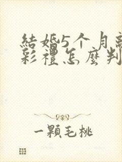 结婚5个月离婚彩礼怎么判