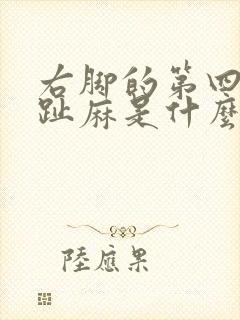 右脚的第四个脚趾麻是什么原因