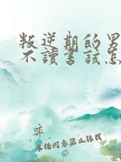 叛逆期的男孩子不读书该怎样去沟通教育