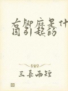 右脚麻是什么原因引起的