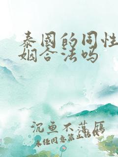 泰国的同性恋婚姻合法吗