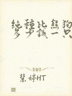 纯种比熊狗价格多少钱一只