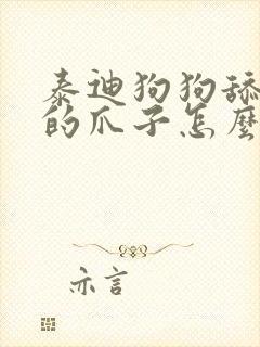 泰迪狗狗舔自己的爪子怎么回事