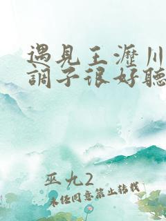 遇见王沥川音乐调子很好听