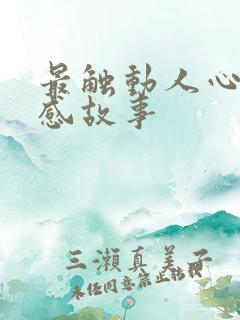 最触动人心的情感故事