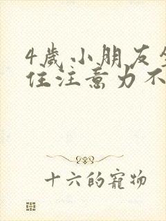 4岁小朋友坐不住注意力不集中