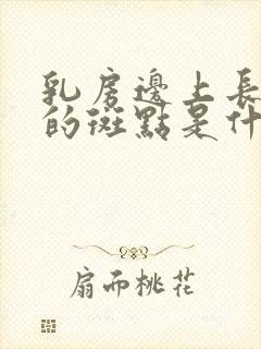 乳房边上长褐色的斑点是什么原因