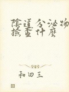 阴道分泌物常规检查什么