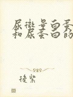 尿微量白蛋白高和尿蛋白的区别