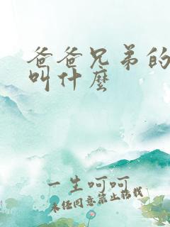 爸爸兄弟的孩子叫什么