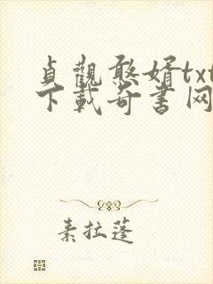贞观憨婿txt下载奇书网