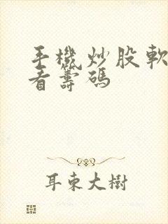 手机炒股软件能看筹码