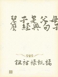 儿子是父母的什么 经典句子