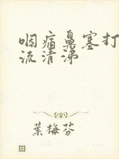 咽痛鼻塞打喷嚏流清涕