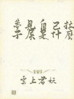 梦见自己拉裤兜子屎是什么意思