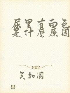 尿里有白色液体是什么原因