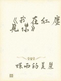 《我在红尘中遇见你》