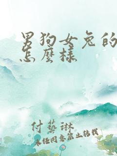 男狗女兔的婚配怎么样