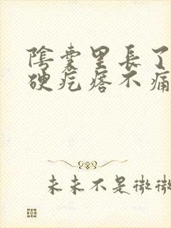 阴囊里长了个小硬疙瘩不痛不痒