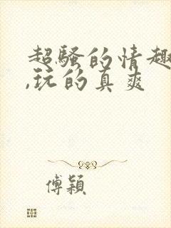 超骚的情趣内衣,玩的真爽