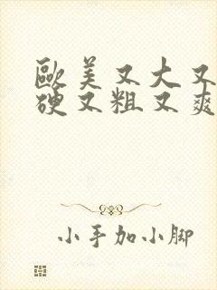 欧美又大又长又硬又粗又爽在线免费观看视频