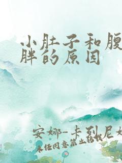 小肚子和腹部都胖的原因