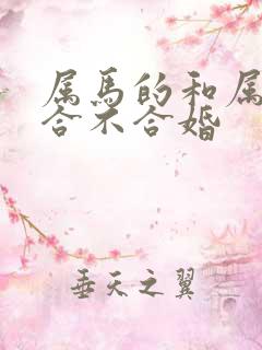 属马的和属龙的合不合婚