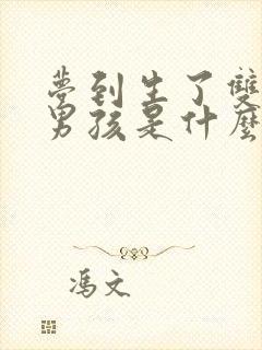 梦到生了双胞胎男孩是什么意思