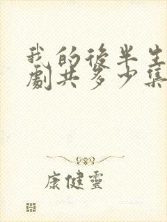 我的后半生电视剧共多少集