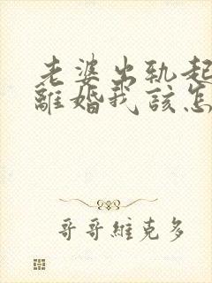 老婆出轨起诉我离婚我该怎么办