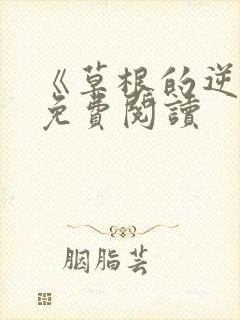 《草根的逆袭》免费阅读