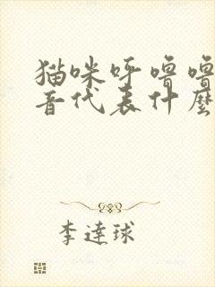 猫咪呼噜噜的声音代表什么