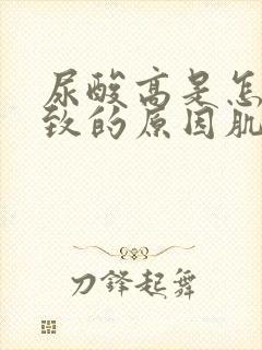 尿酸高是怎么导致的原因肌酐偏高