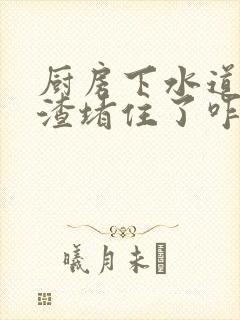 厨房下水道被菜渣堵住了咋办