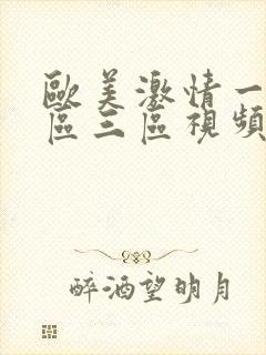 欧美激情一区二区三区视频