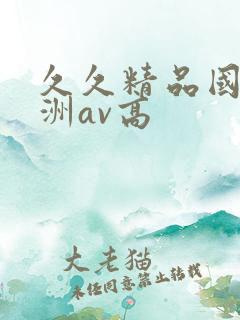 久久精品国产亚洲av高