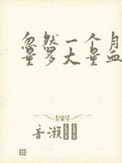 忽然一个月月经量多大量血块