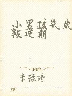 小男孩几岁进入叛逆期