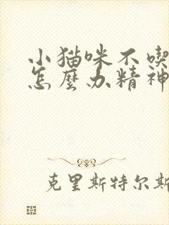 小猫咪不吃东西怎么办精神也不好