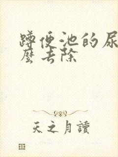 蹲便池的尿垢怎么去除