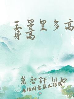 王曼昱多高真实身高