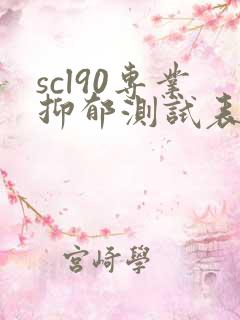 scl90专业抑郁测试表