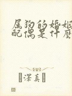 属狗的婚姻最佳配偶是什么属相