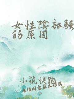 女性阴部骚味大的原因